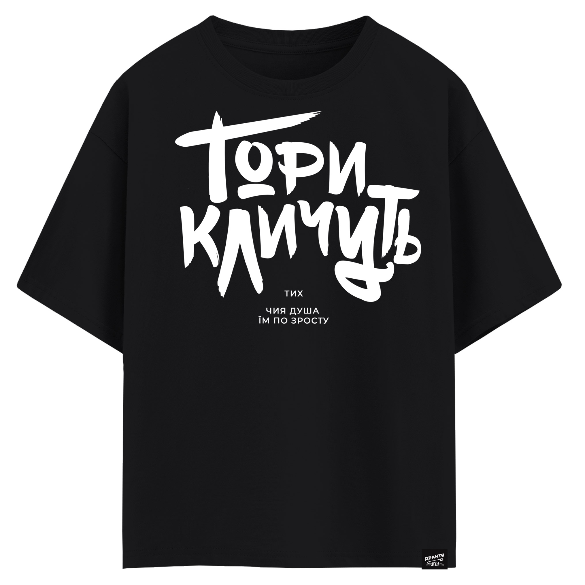 Гори кличуть тих чия душа їм по зросту (оверсайз футболка)
